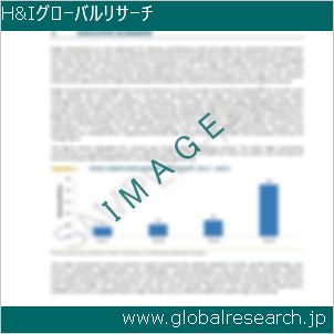 グローバルリサーチ調査レポートのイメージ